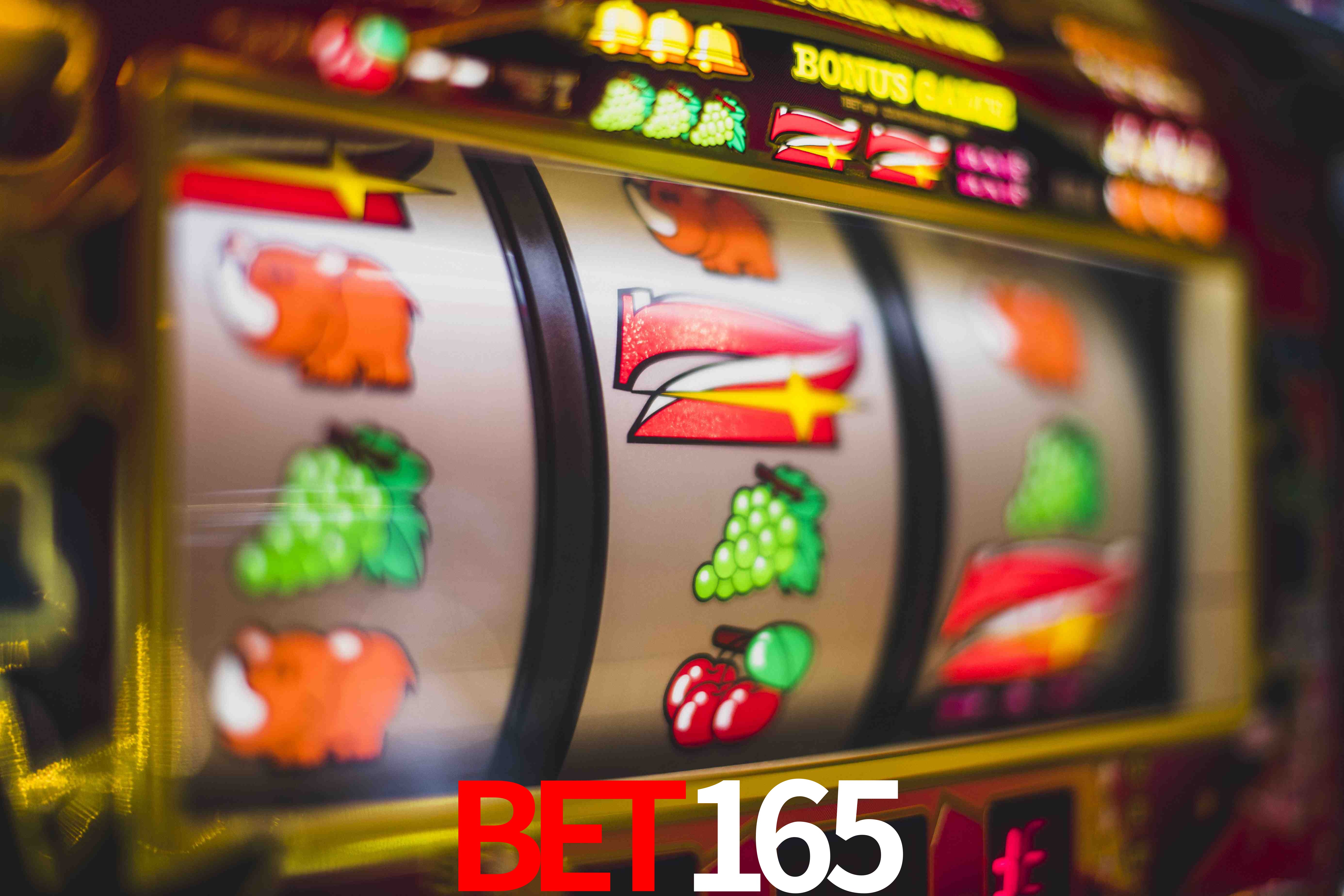 VIP Casino BET165